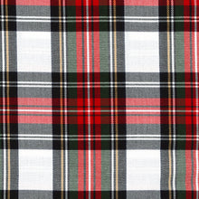 Load image into Gallery viewer, CLAUS Skirt in all tartan
